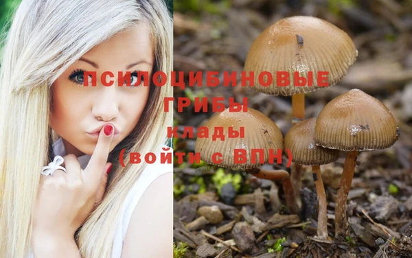 а пвп мука Баксан
