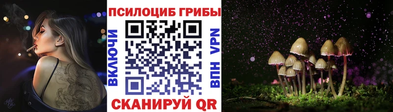 купить  цена  Кушва  Псилоцибиновые грибы ЛСД 