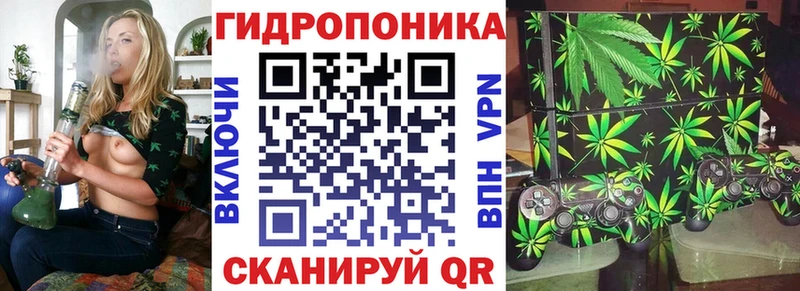 Каннабис Amnesia  Кушва 